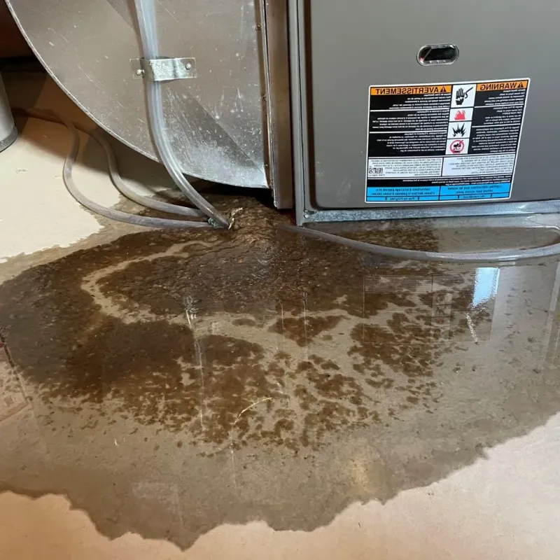 Pipe Burst and Leak Restoration in Hadley, NY