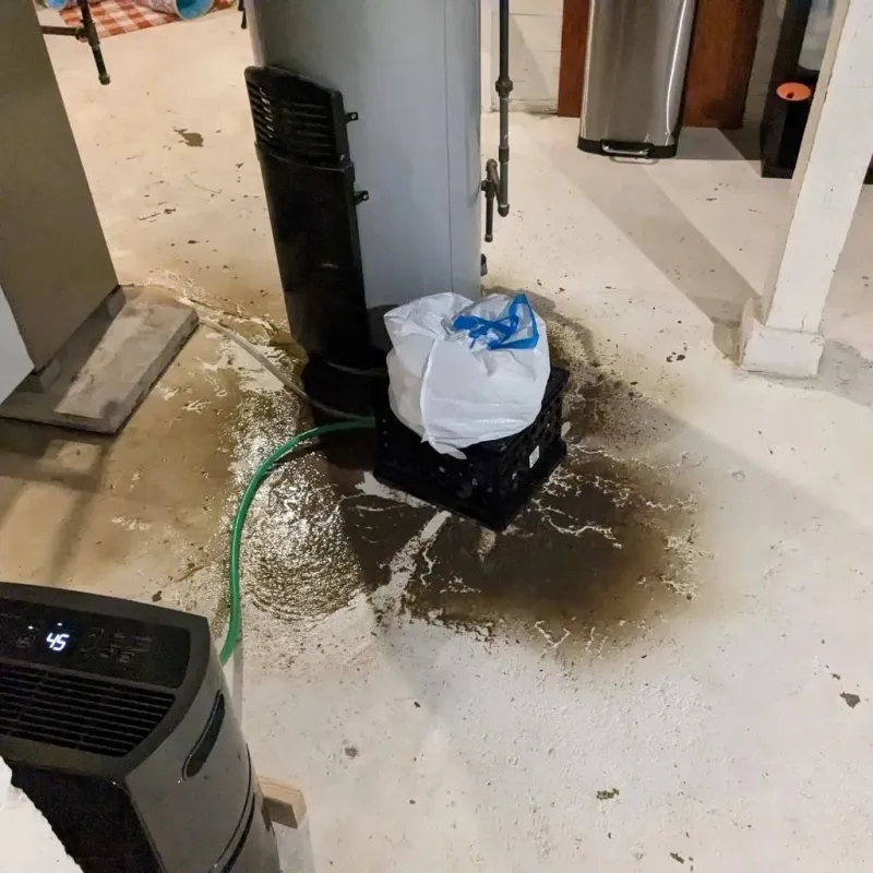 Sewage Backup Cleanup Service in Hadley, NY